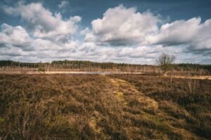 A scenic autumn field with a dramatic sky in Scherpenheuvel-Zichem, Belgium.
