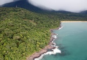 Aerial view of lush green forested hills meeting the scenic coastline of Sierra Leone.