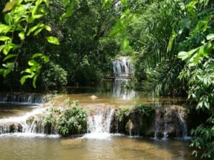 Discover the tranquil beauty of a cascading waterfall surrounded by lush greenery in Bonito, Brazil.