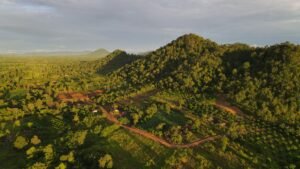 Breathtaking aerial view of lush green hills and valleys in Cambodia, showcasing agricultural landscapes.