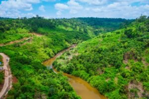 Aerial view of a vibrant green valley and river in Koh Kong, Cambodia, capturing untouched nature.