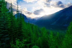Explore the scenic beauty of Jasper National Park's sunlit mountain valley, captured at dawn.