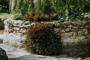 Outdoor garden with tropical plants and rustic stone wall under daylight.