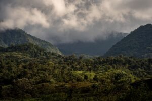 Scenic view of lush green mountains shrouded in clouds, Bajos del Toro, Costa Rica.