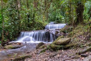 Serene waterfall flowing through vibrant Costa Rican forest, showcasing natural beauty and tranquility.