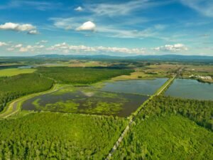 Aerial shot of lush green wetlands and forests under a clear blue sky in Garešnica, Croatia.
