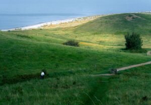 Scenic view of lush green hills and coastline on Samsø Island, Denmark, showcasing natural beauty.
