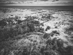 A stunning high-angle black and white aerial photograph of the Bindslev coastline in Denmark, showcasing trees and the sea.