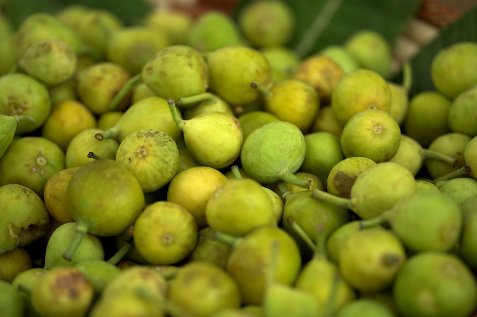 A close-up view of fresh green figs arranged in a pile, captured outdoors in Dammam, Saudi Arabia.