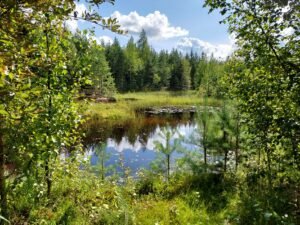 Tranquil forest landscape in Finland with a reflection on a clear lake.