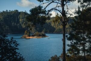 Beautiful forested lake with an island in Chiapas, Mexico's national park.