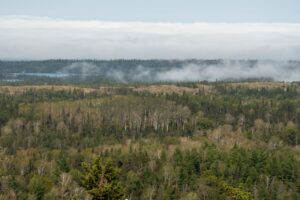 Scenic view of fog-covered forests and lakes in Isle Royale National Park, Michigan.