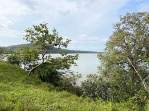 Serene lake view with lush green trees and clear blue sky, capturing nature's beauty in Honduras.