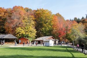 Explore the vibrant autumn colors at Plitvice Lakes National Park in Croatia. Perfect for travel and nature enthusiasts.