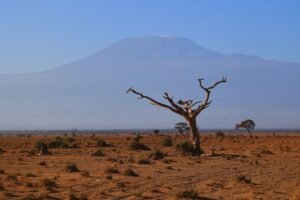 Scenic view of barren landscapes of Kajiado County, Kenya with Mount Kilimanjaro.