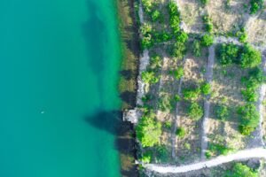 Serene aerial view of a vivid coastal landscape with lush greenery and turquoise water.
