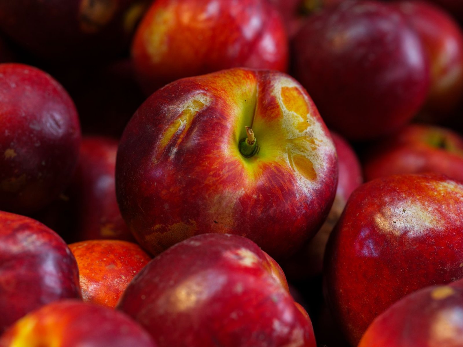 Vibrant close-up of ripe nectarines showcasing their juicy freshness and natural appeal.