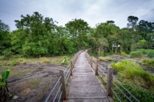 Narrow footbridge with railings between green bushes and lush trees with foliage growing in national park in forest in summer time