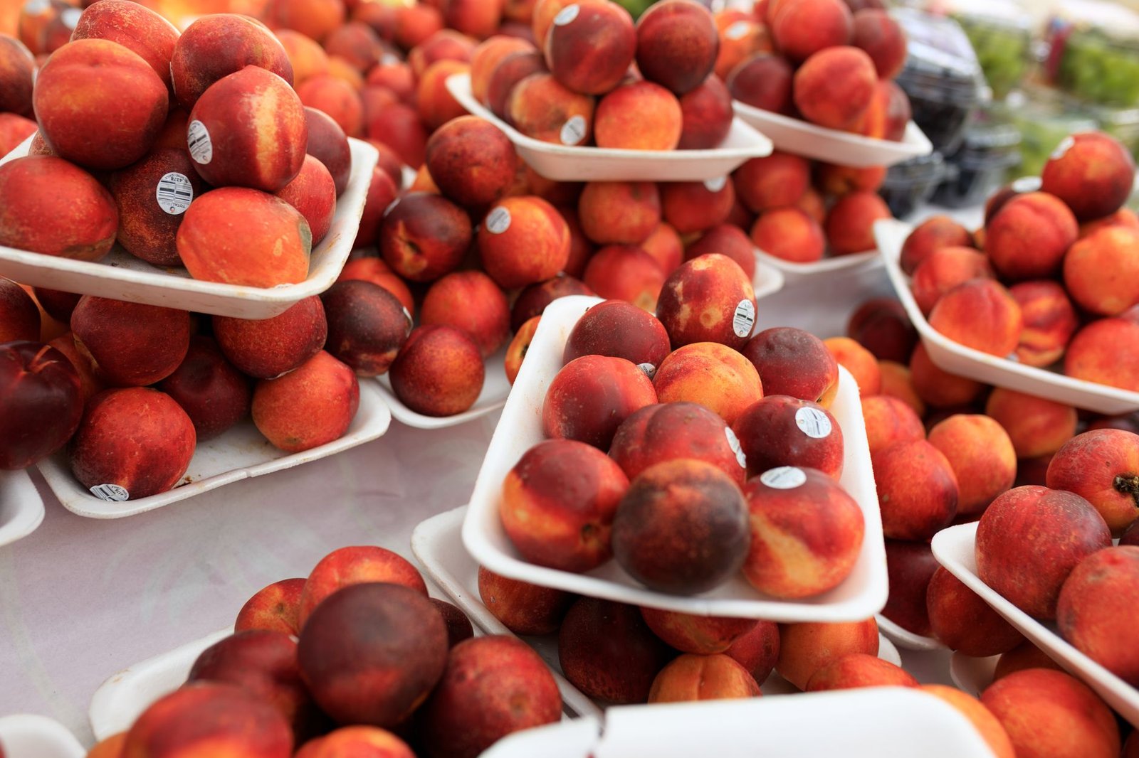 Ripe summer peaches in trays at a local market, perfect for seasonal produce imagery.