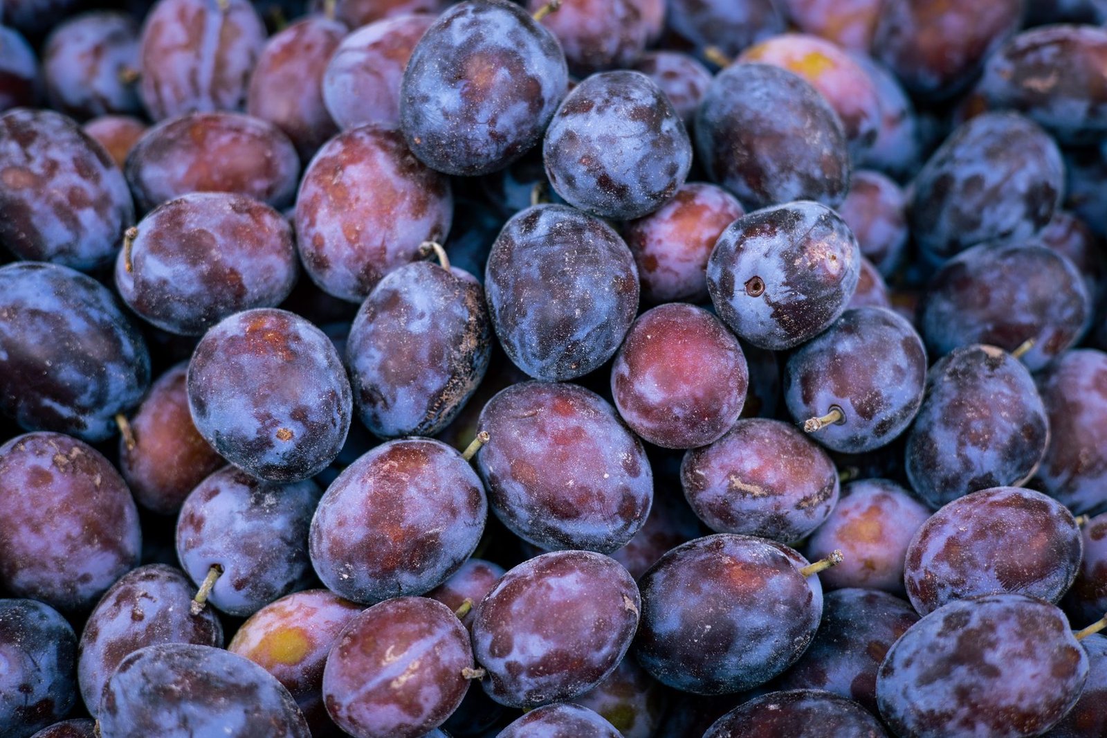 A close-up view of ripe plums in a stack, showcasing their rich colors and textures.