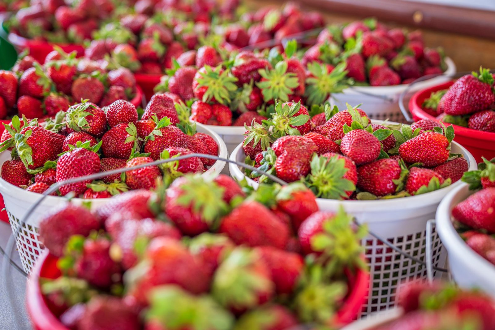 Close-up of vibrant red strawberries overflowing in white baskets, showcasing freshness.