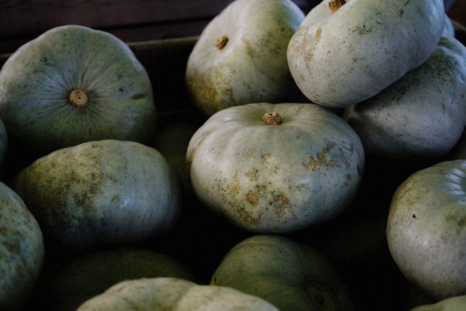 Close-up of a pile of freshly harvested blue hubbard squash, perfect for fall recipes.