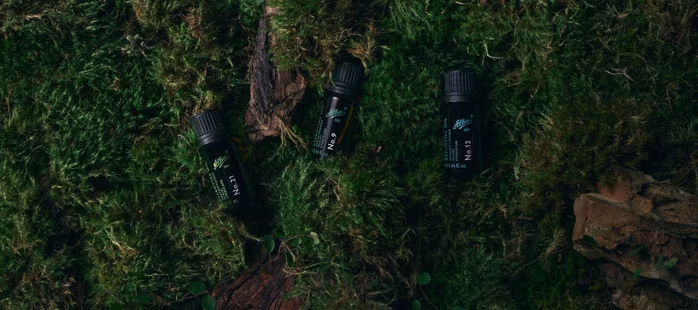 Alba® 1913