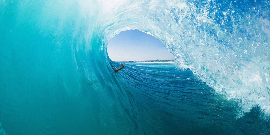 Rip Curl