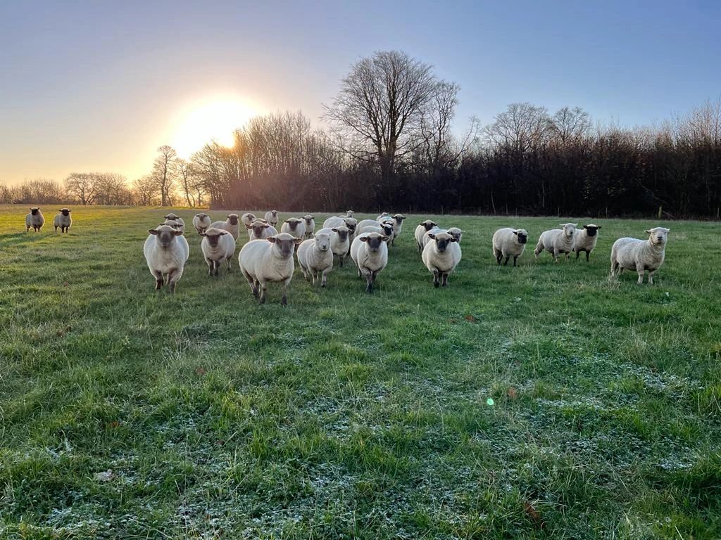 White Rocks Farm