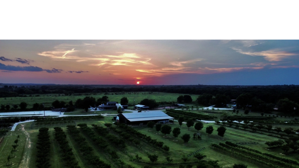 Denton Valley Farms