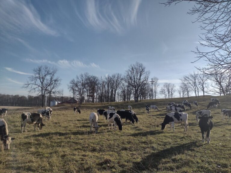 Lesser Farms and Orchard