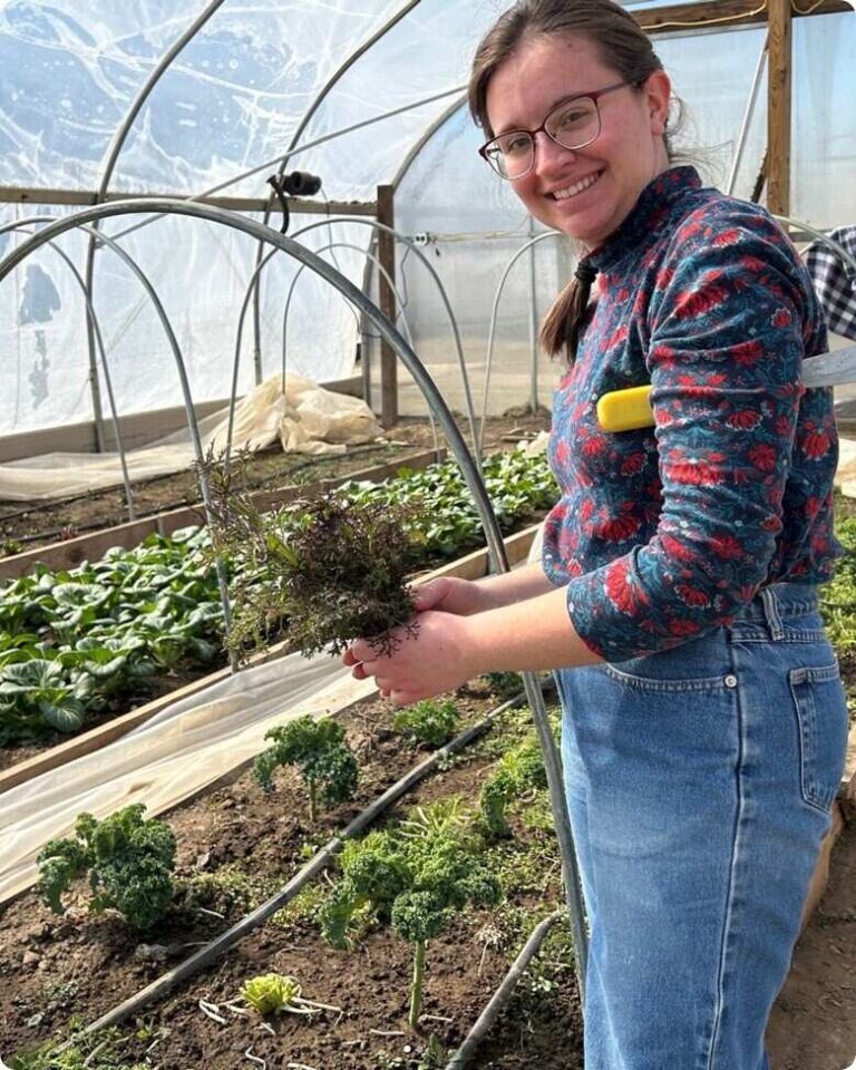 Riehm Farm Market