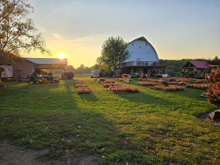 Mommsen’s Produce Patch