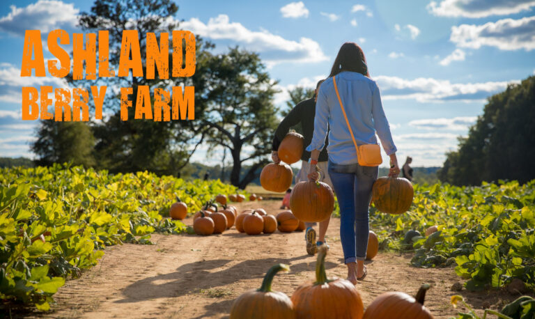 Ashland Berry Farm Inc