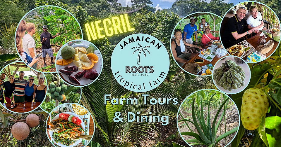 Jamaican Roots Tropical Farm