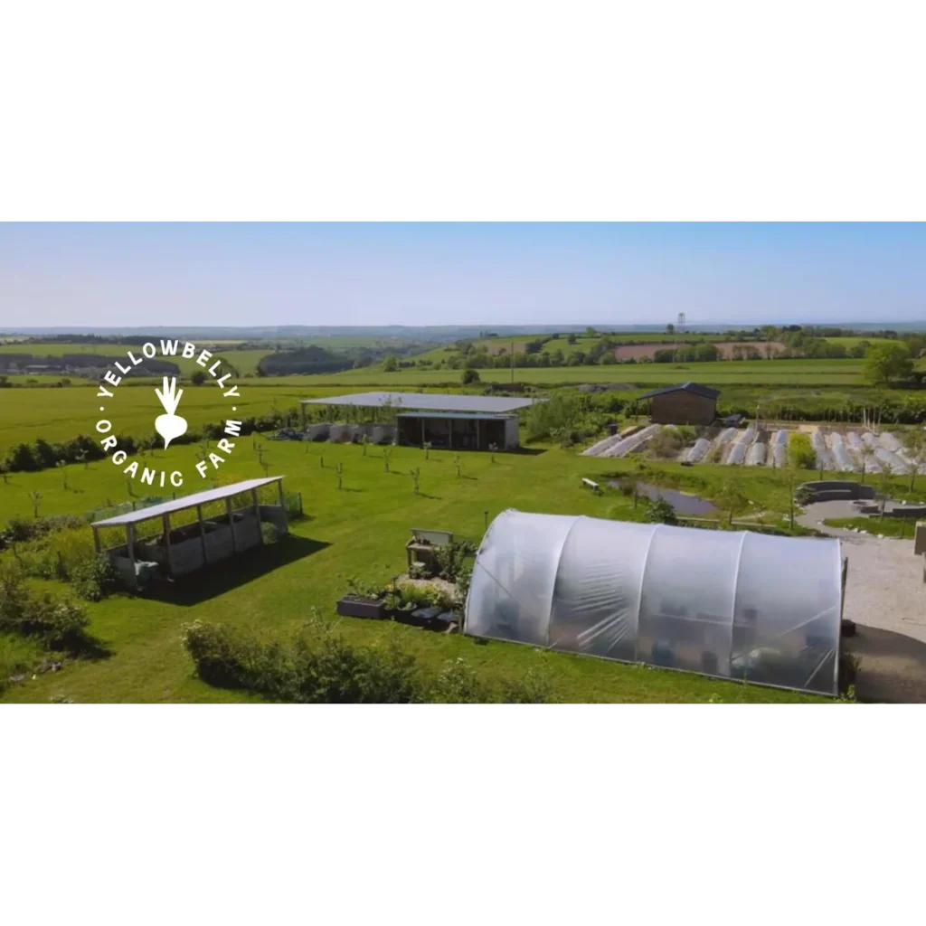 Yellow Belly Farm