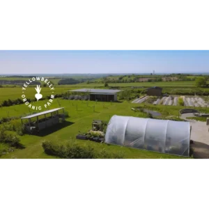 Yellow Belly Farm