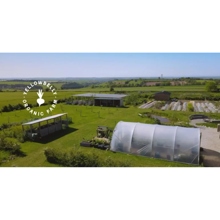Yellow Belly Farm