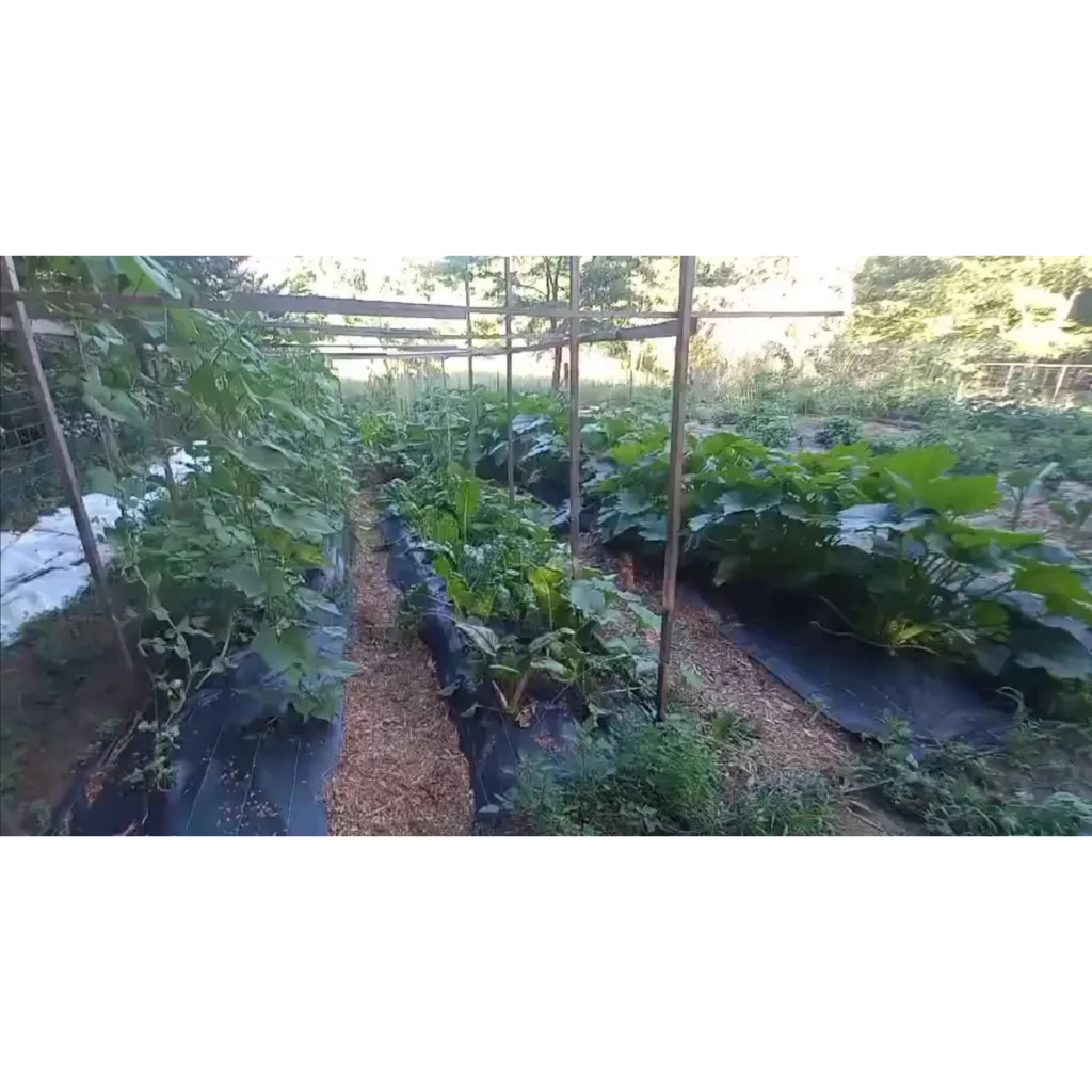 Nature’s Circle Farm