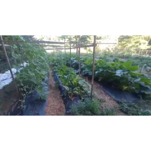 Nature’s Circle Farm