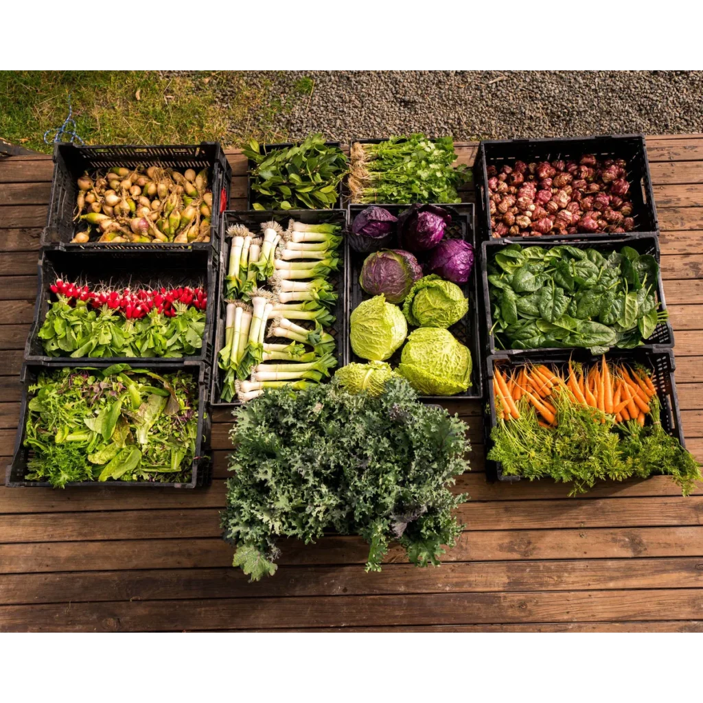 Fat Pig Produce