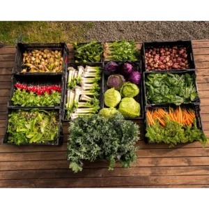 Fat Pig Produce