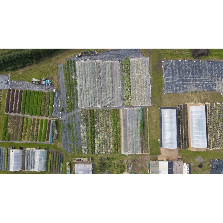 Frithfarm