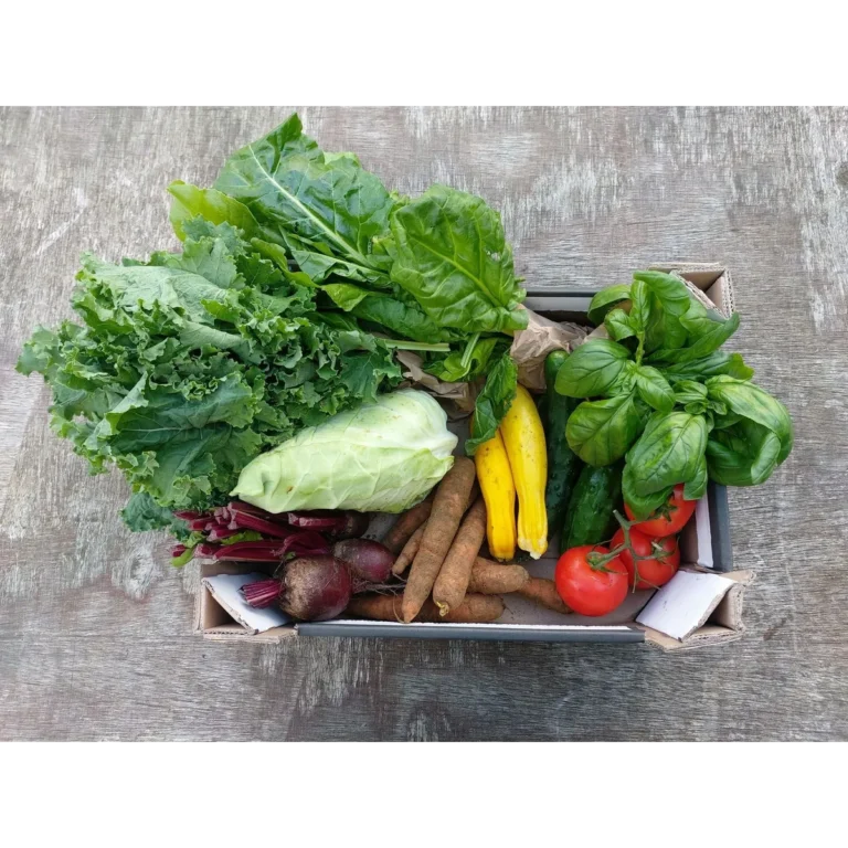Meanwood Valley Urban Farm