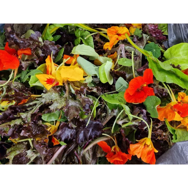 Pennine Cropshare
