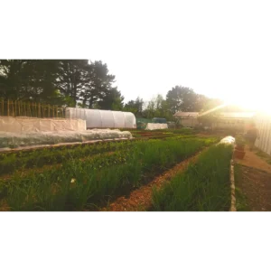 The Edible Acre