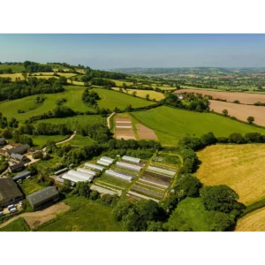 Trill Farm Garden