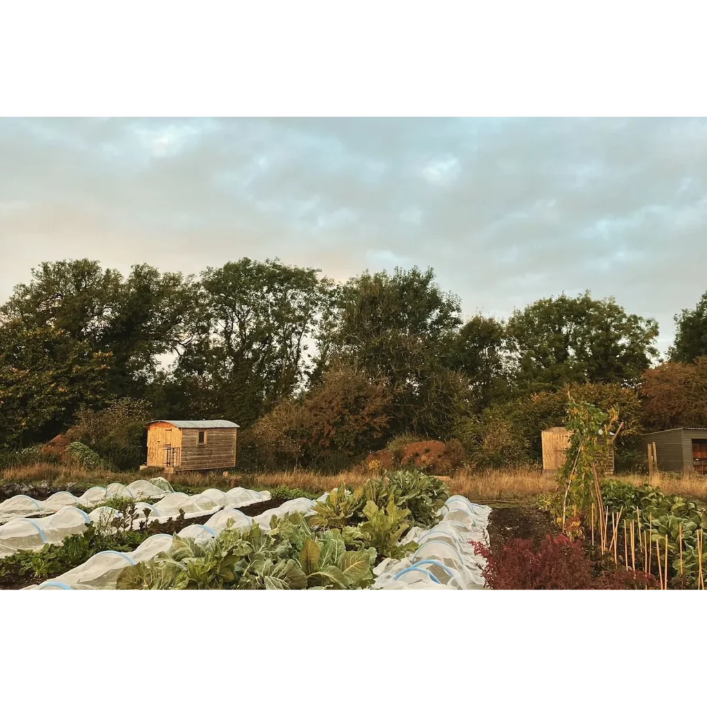 Vallis Farm