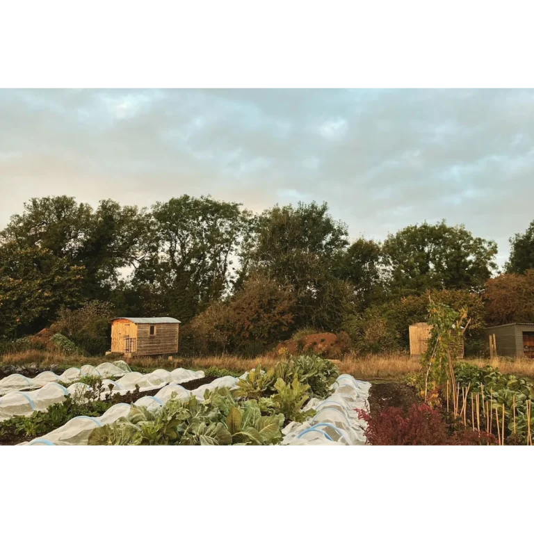 Vallis Farm