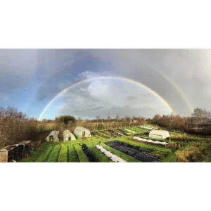 Vallis Veg